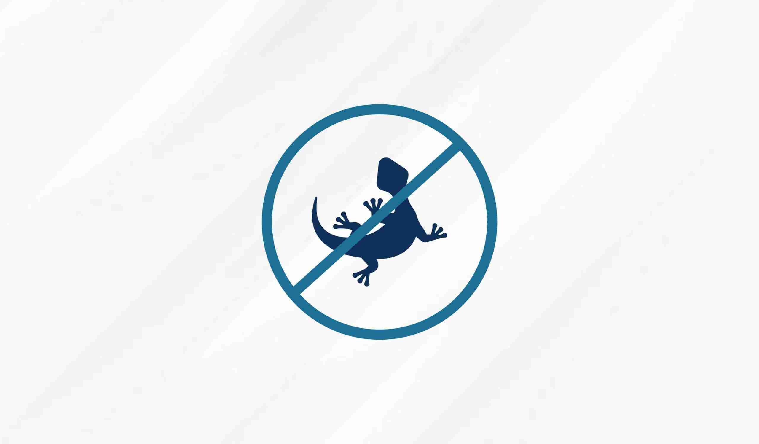 Pest Control Services